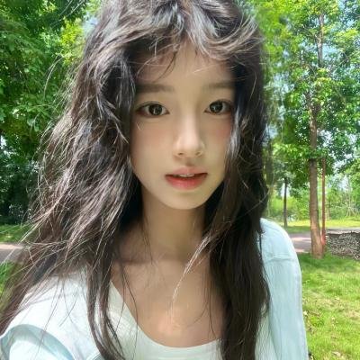 完美的独裁国家